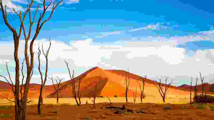 Namib Desert