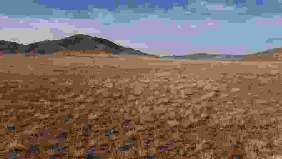 Grassland in Yammat Valley