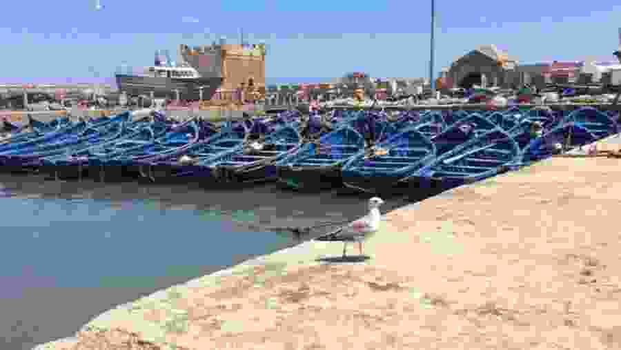 Essaouira Harbor