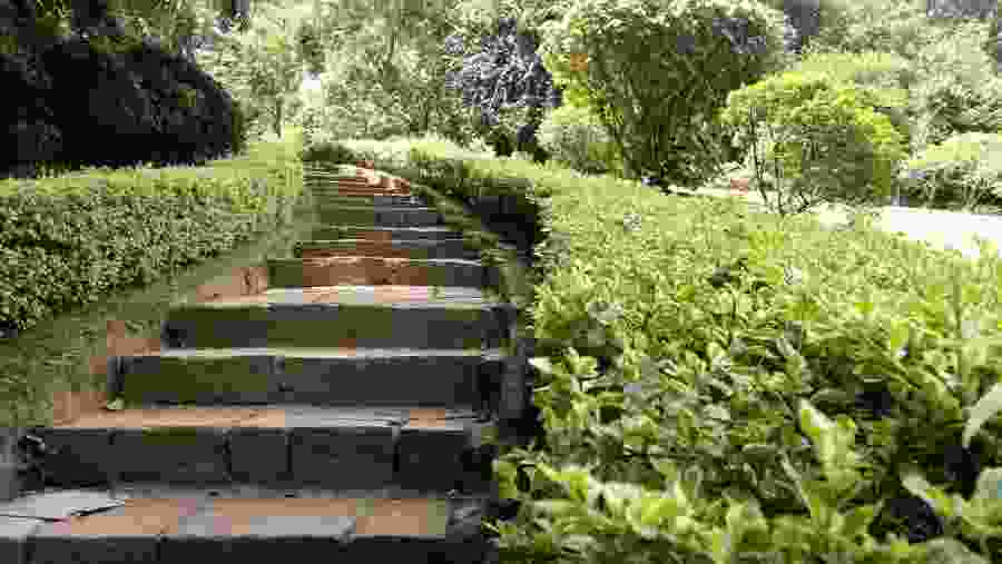 Sri Lanka Discovery Tour