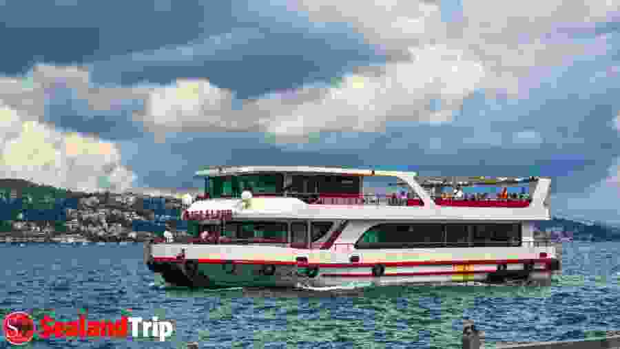 Disfrute de un pase hermoso en nuestro Barco