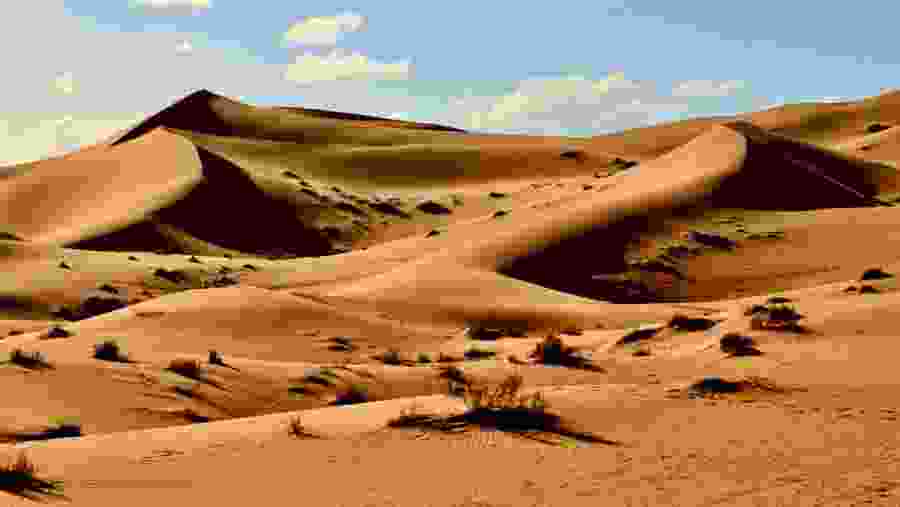 Desert