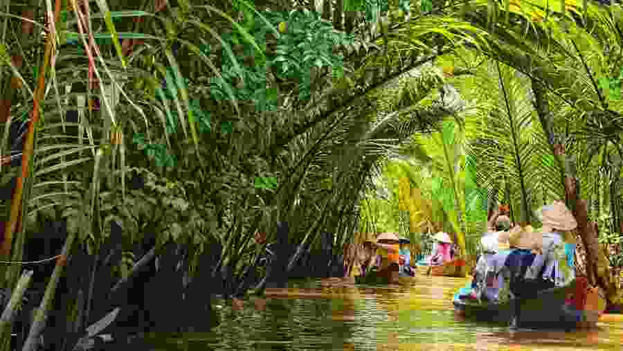 Boat Trips at My Tho