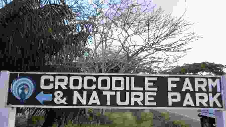 Visit Crocodile Farm and Nature Park