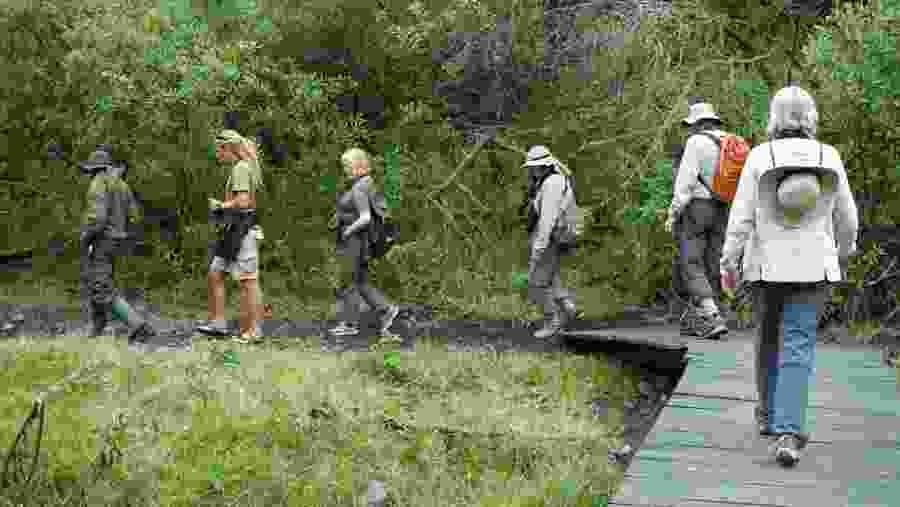Hiking Trail in Arusha