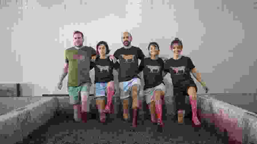 Grape-stomping in Douro Valley