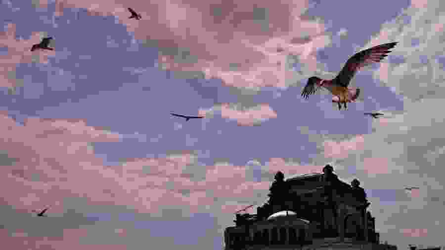 The Casino, Constanta