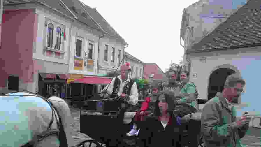 horse-drawn carriages