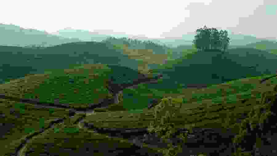 Hill Stations of Sri Lanka