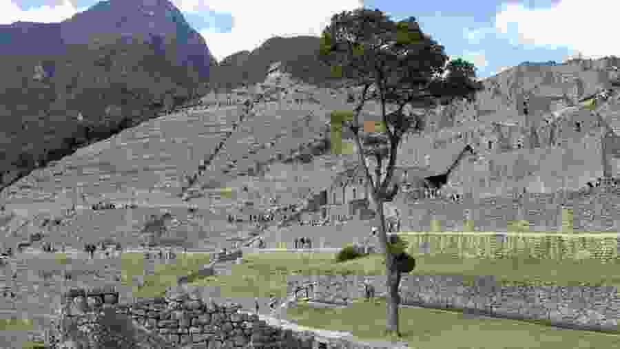 Machu Picchu