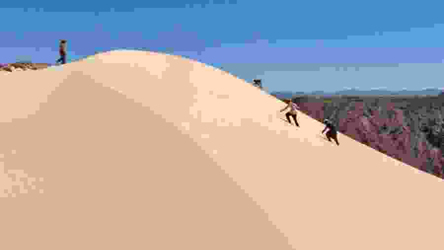Sinai Desert