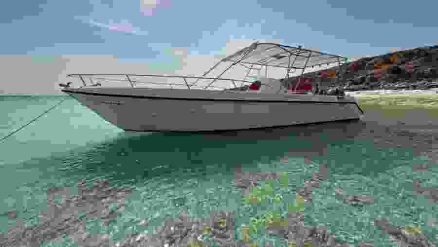 Boat trip to Daymaniyat Islands