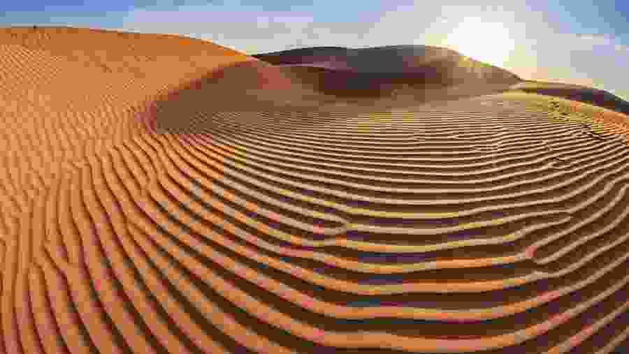 Wahiba Desert