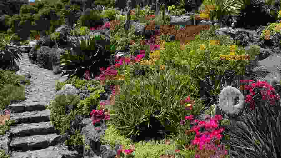 A beautiful botanical garden in Christchurch