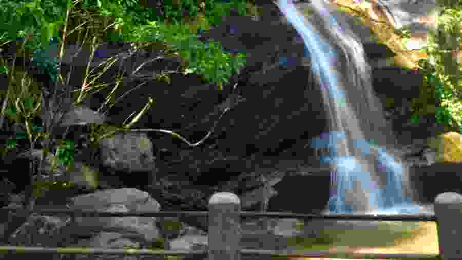 Tijuca National Park