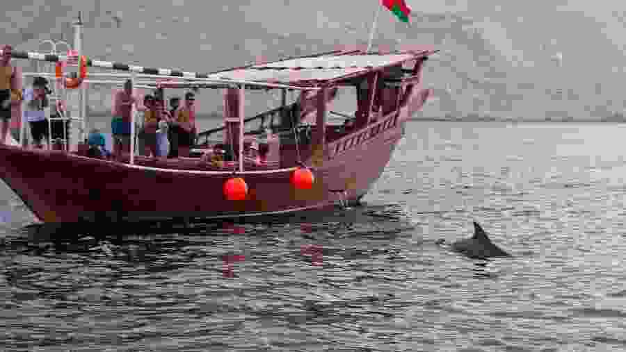 Experience the Fjords of Musandam