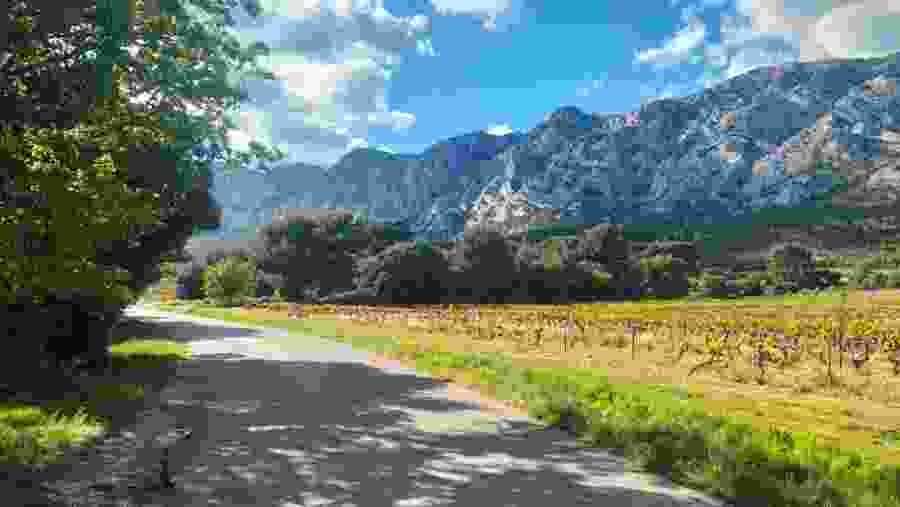 admire the beautiful landscapes around Sainte Victoire mountain