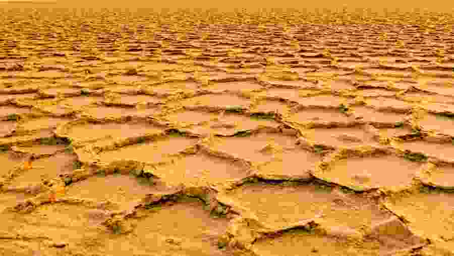 Danakil Desert
