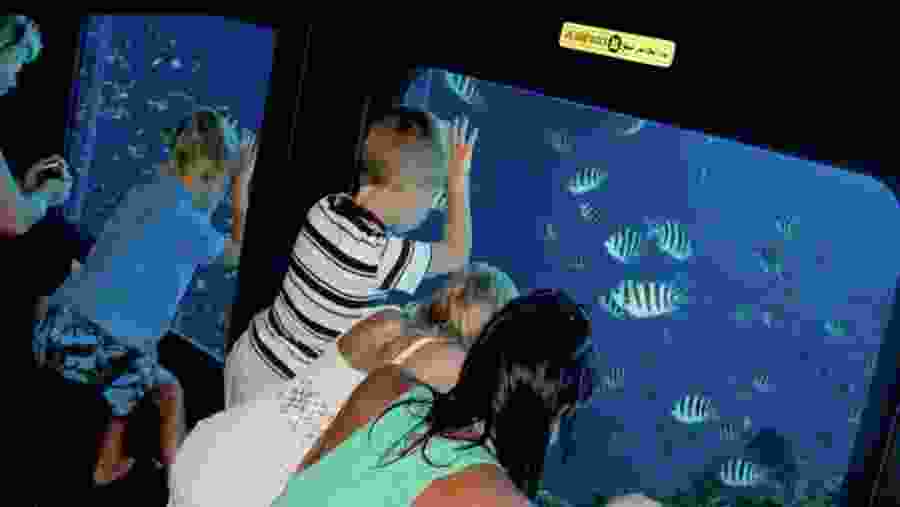 Travelers on a boating experience