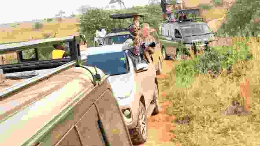 Embark on a fun jeep safari