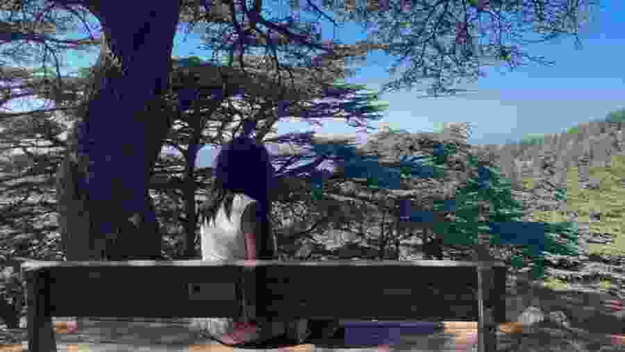 Cedars of Chouf, Beiteddine & Deir El Qamar