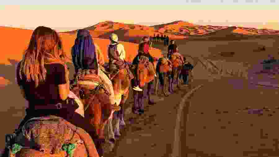 Camel Safari in Merzouga Desert