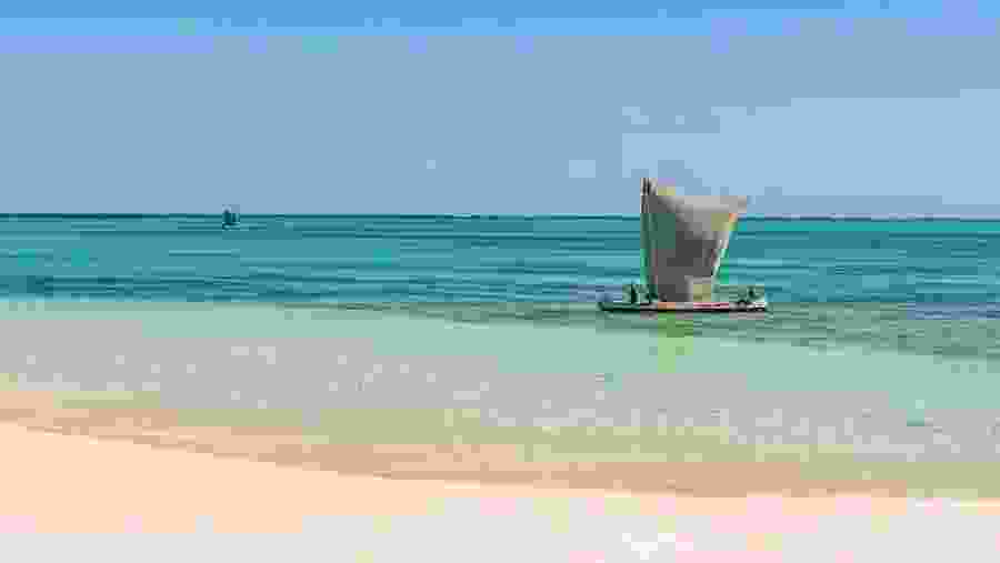 Andravoho
