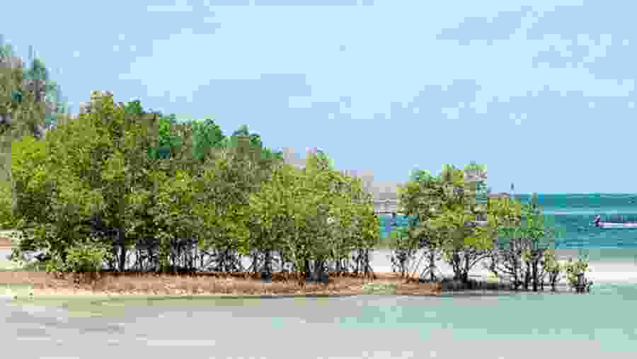 Explore the Funzi Island