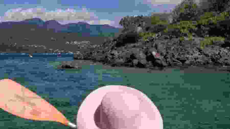 Glass-Bottom Boat Ride