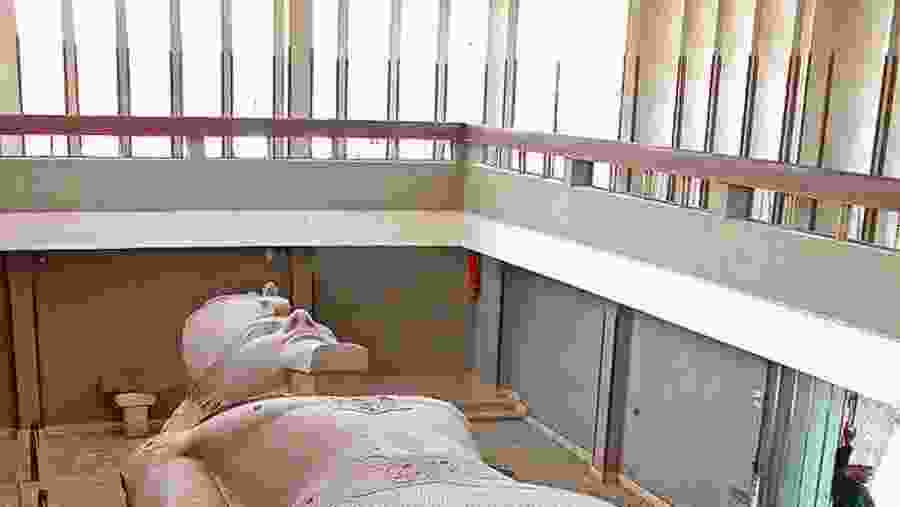 Statue of Ramesses II, Memphis