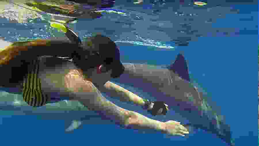 Snorkeling Underwater