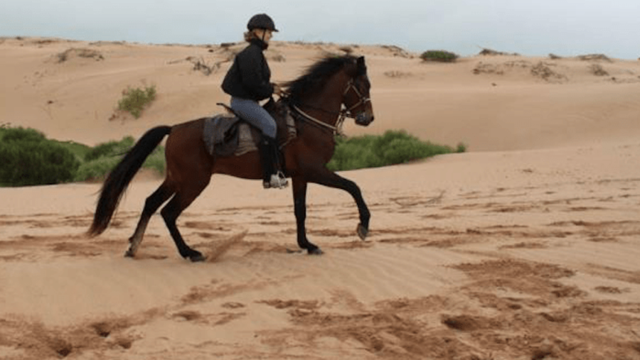 Horse riding in Agadir