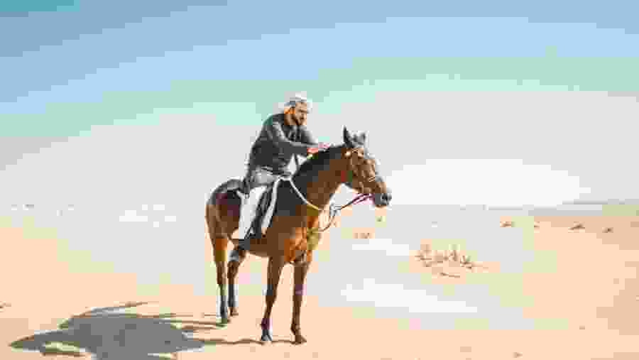 Sea And Desert Horse Riding in Marsa Alam