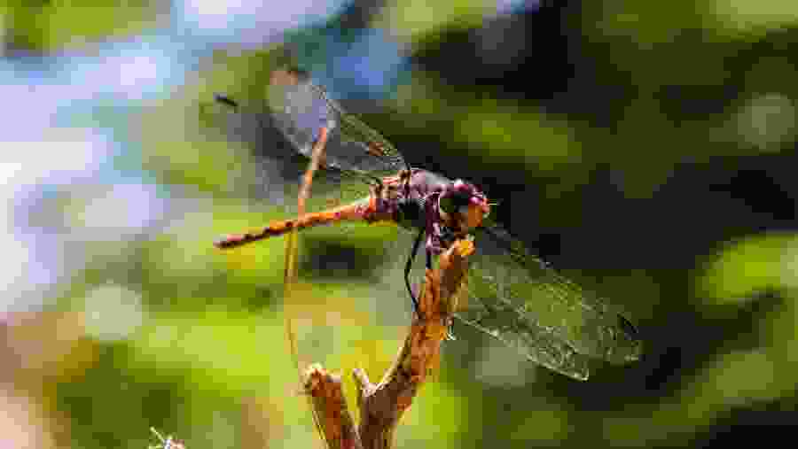 Capture Beautiful Images in Chuon Lagoon