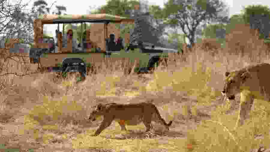 Ruaha National Park