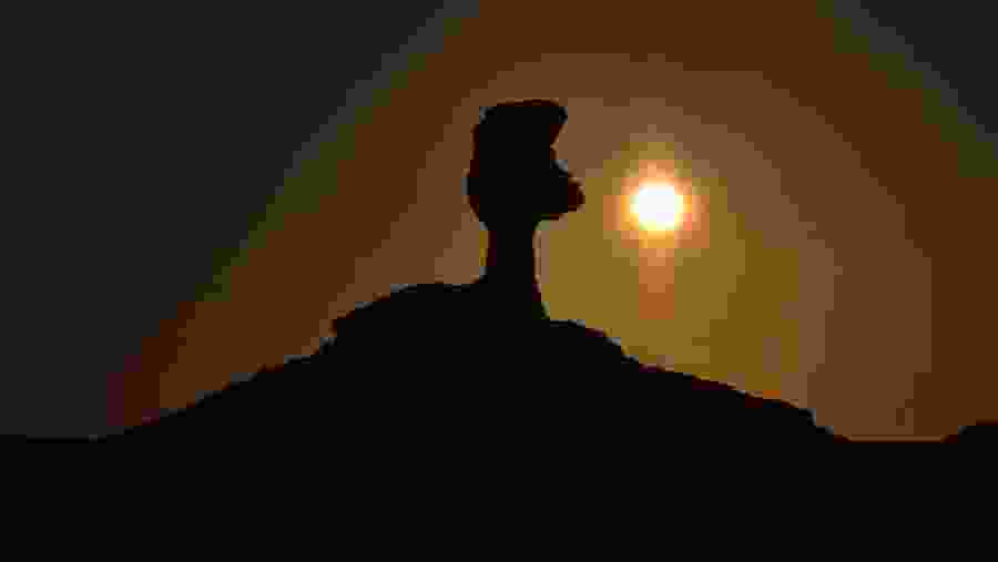 Admire the sunset view of the Oasis in Bahariya