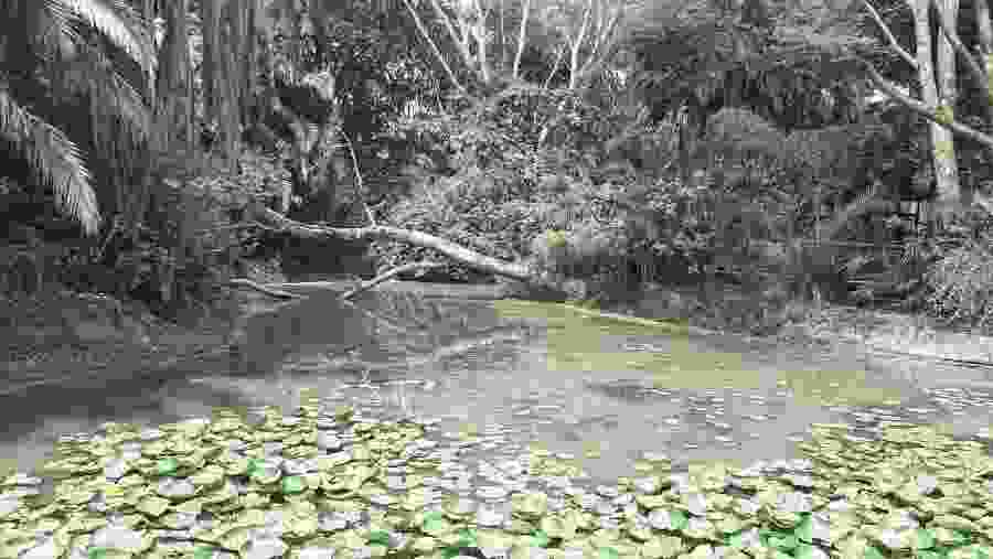 Nairobi Safari Walk