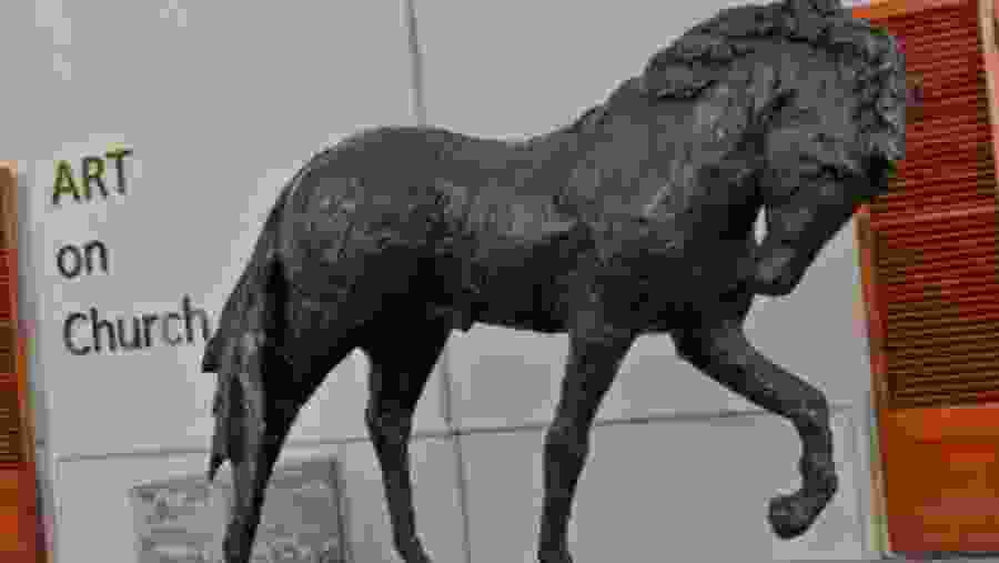 Horse In an Art Gallery