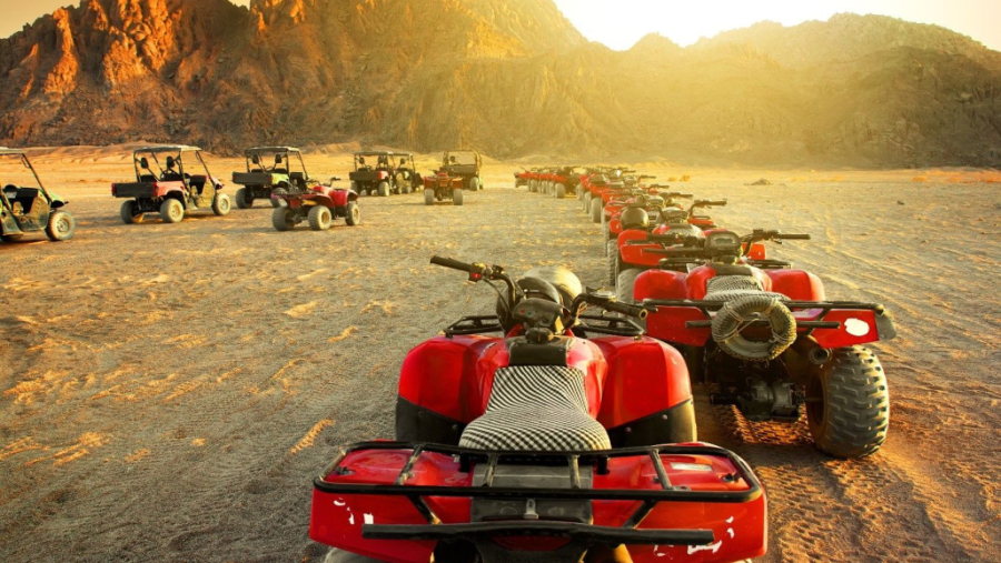 Quad Safari