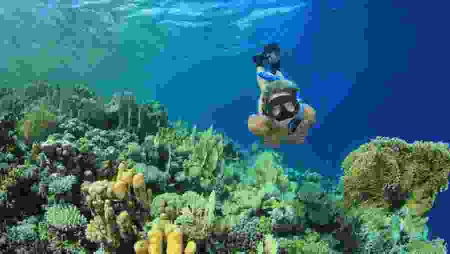 Travelers snorkeling in Marsá Mubārak