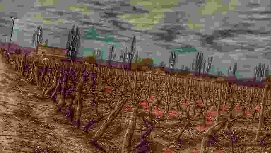 Underground View of the Lujan de Cuyo