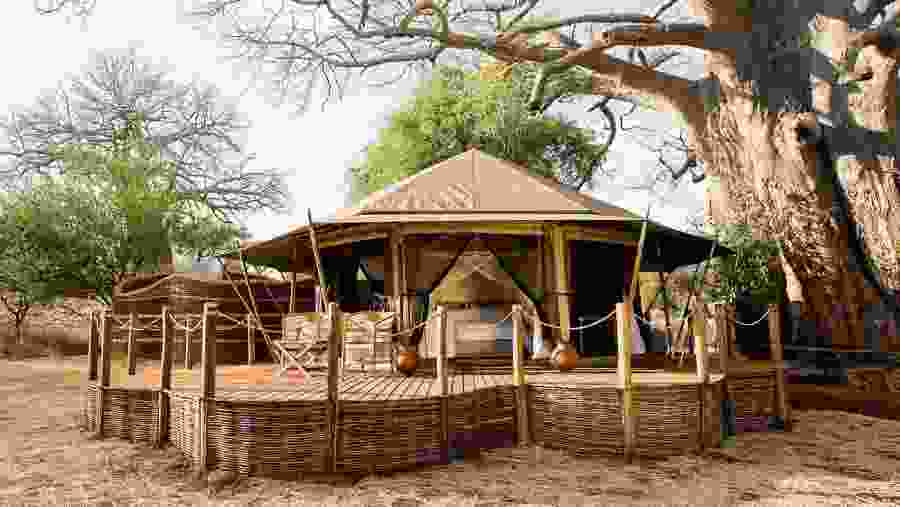 Lodge Safari