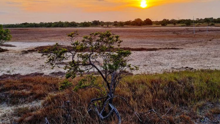 Visit Saadani National Park, Tanzania
