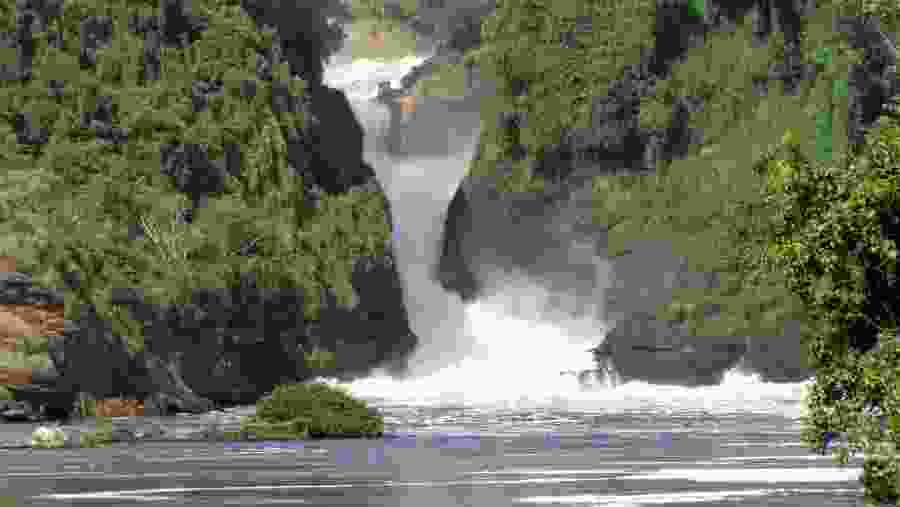 See Murchison Falls