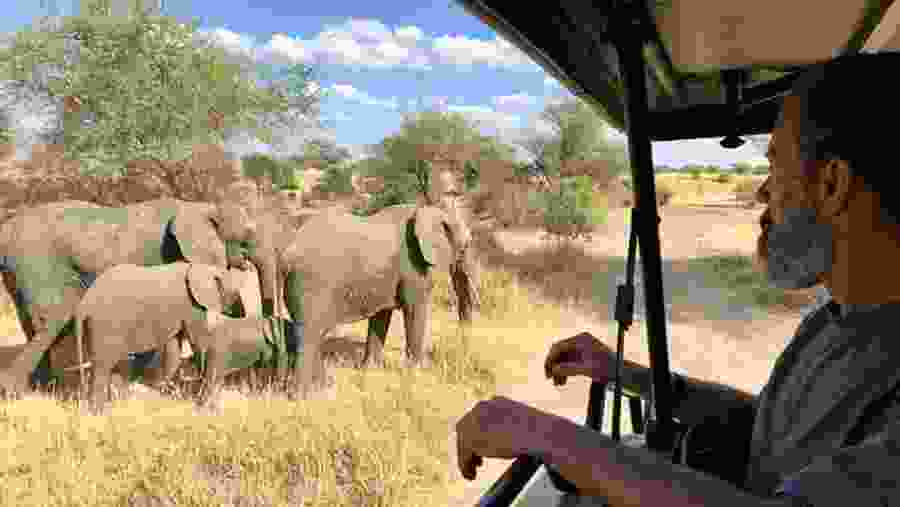 Marvel at up close animal experiences