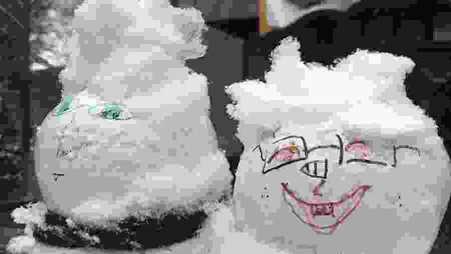 Nami Island & Garden of Morning Calm