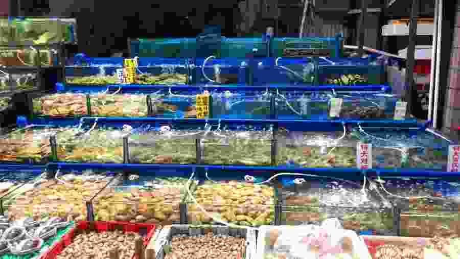 Fresh seafood
