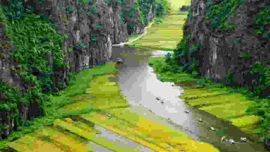 Visit the Ngo Dong River