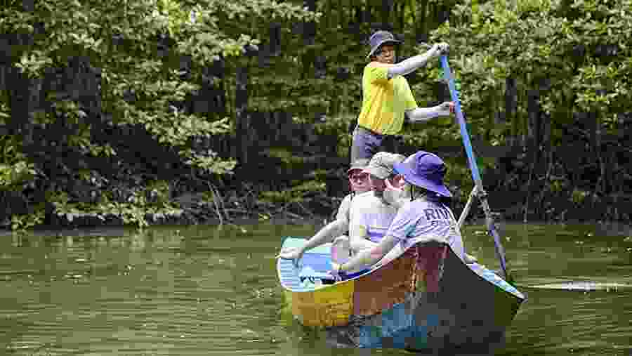 Boating At Can Gio Mangrove Forest,Vietnam