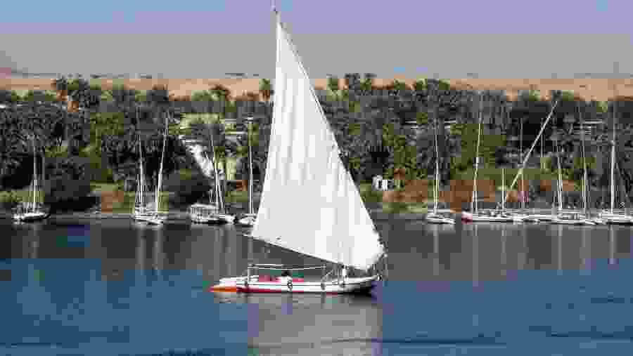 Felucca ride in Luxor River Nile